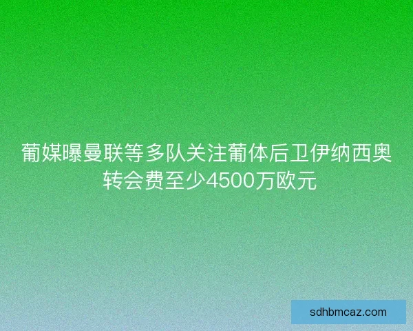 葡媒曝曼联等多队关注葡体后卫伊纳西奥 转会费至少4500万欧元