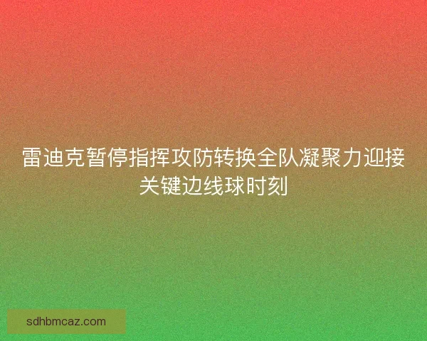 雷迪克暂停指挥攻防转换全队凝聚力迎接关键边线球时刻
