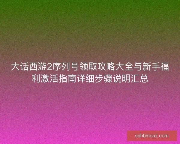大话西游2序列号领取攻略大全与新手福利激活指南详细步骤说明汇总